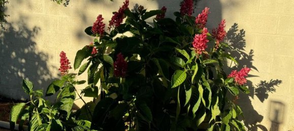  Land in Andalusia, Spain No. 159278 15