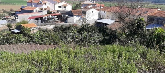 506m² Land in Soure, Portugal No. 59495 5