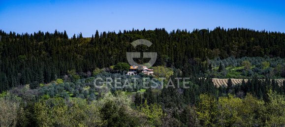 7 bedrooms Castles in Montespertoli, Italy No. 264803 6