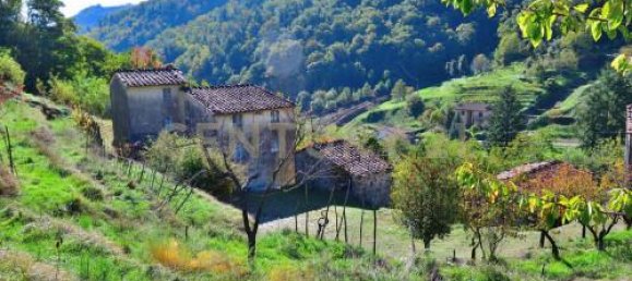 12 rooms House in Pescaglia, Italy No. 107878 14