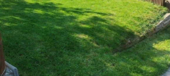 7-salle Maison de ville à Rastatt, Germany No. 67610 6