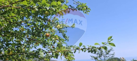 120000m² Land in Mele, Italy No. 309126 4