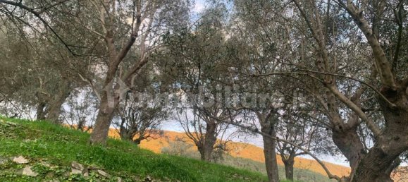 3000m² Land in San Giuliano Terme, Italy No. 89841 3