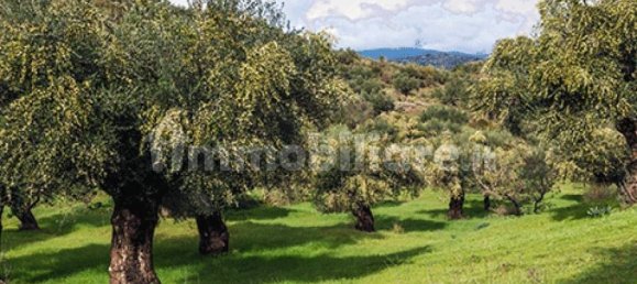 3000m² Land in San Giuliano Terme, Italy No. 89841 5