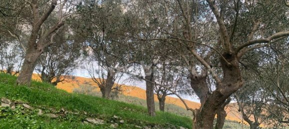 3000m² Land in San Giuliano Terme, Italy No. 89841 4