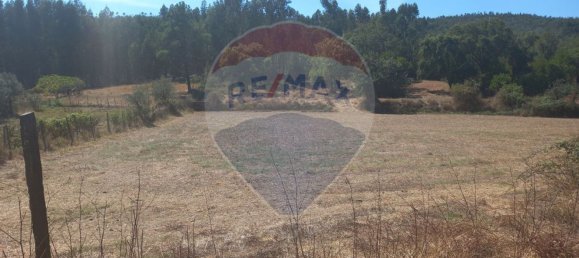 4 غرف نوم منزل في Ferreira do Zezere, Portugal رقم 174020 30