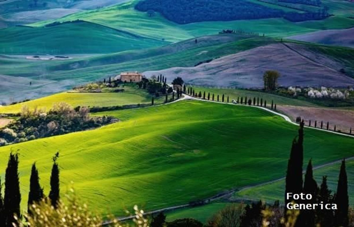 6 rooms Warehouse in Pisa, Italy No. 135878