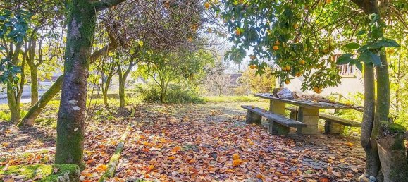 3 Schlafzimmer Haus in Carrazedo, Portugal, Nr. 167524 13