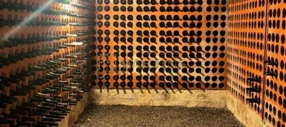 Casa de 3 dormitorios en Satao, Portugal No. 50264 5