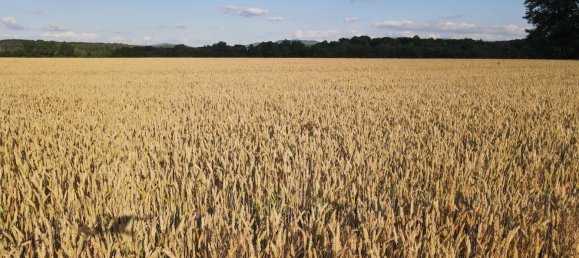 Grundstück in Bautzen, Germany, Nr. 132208 4