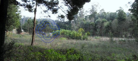 Terrain à Vila Nova de Gaia, Portugal 16212m² No. 47833 9