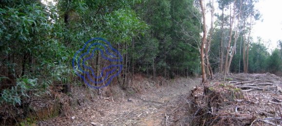 Terrain à Vila Nova de Gaia, Portugal 16212m² No. 47833 15