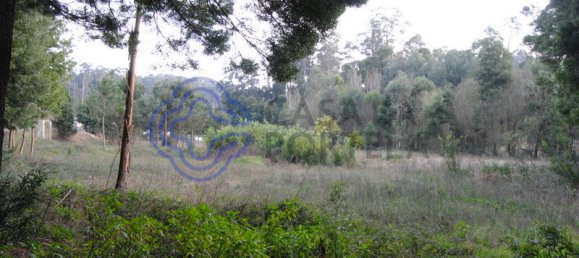 Terrain à Vila Nova de Gaia, Portugal 16212m² No. 47833 10