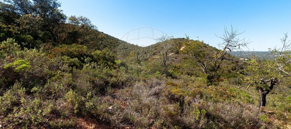 7800m² Land in Loule, Portugal No. 41758 10