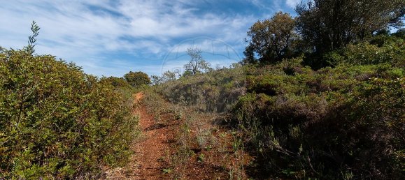 7800m² Land in Loule, Portugal No. 41758 8