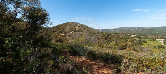 7800m² Land in Loule, Portugal No. 41758 2
