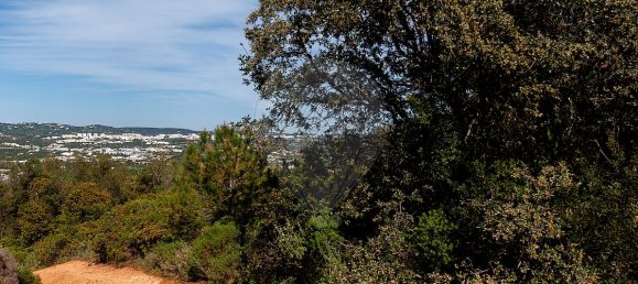 7800m² Land in Loule, Portugal No. 41758 6