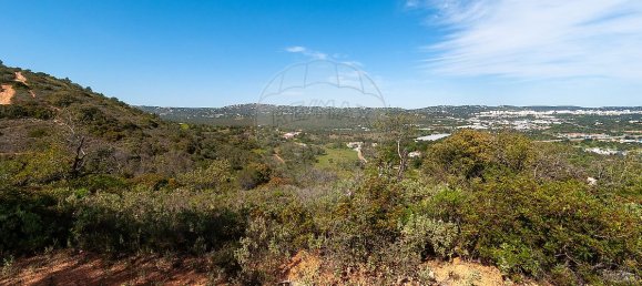 7800m² Land in Loule, Portugal No. 41758 4
