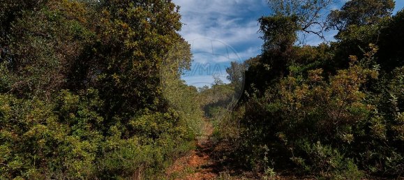 7800m² Land in Loule, Portugal No. 41758 9