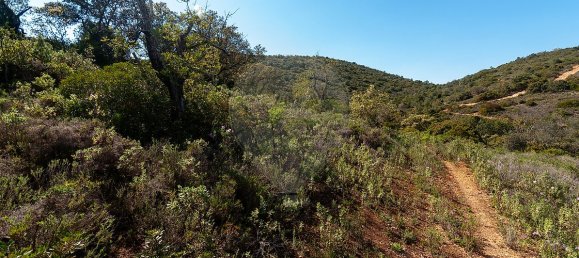 7800m² Land in Loule, Portugal No. 41758 7