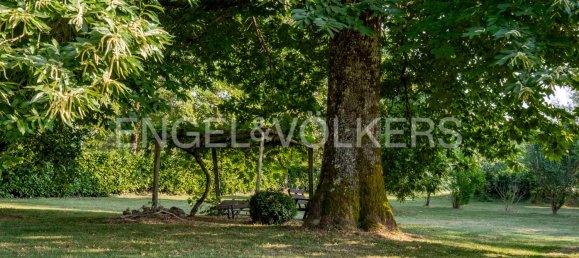 6 bedrooms House in Pitigliano, Italy No. 105203 13