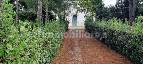 4 bedrooms House in Terricciola, Italy No. 269094 10