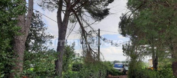 4 bedrooms House in Terricciola, Italy No. 269094 2