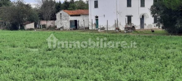 4 bedrooms House in Terricciola, Italy No. 269094 13