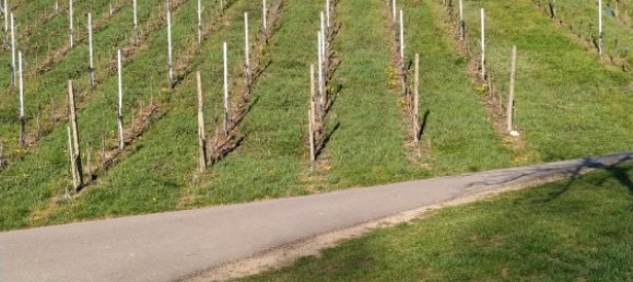  Land in Rottweil, Germany No. 218761 3