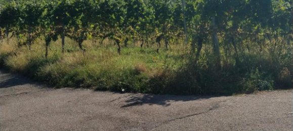  Land in Rottweil, Germany No. 218761 2