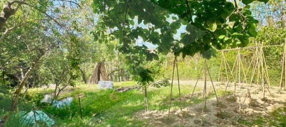 3-Zimmer Wohnung in Spoltore, Italy, Nr. 28344 2