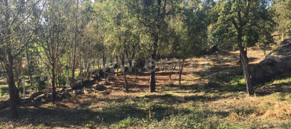 Terreno en Barcelos, Portugal 3500 m² No. 190495 3