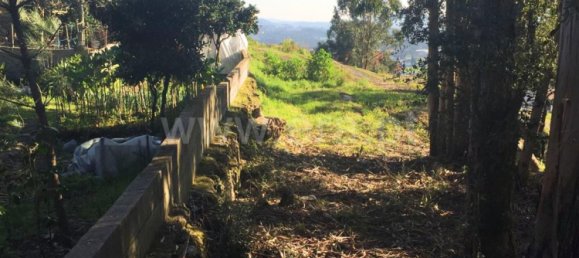 Terreno en Barcelos, Portugal 3500 m² No. 190495 4