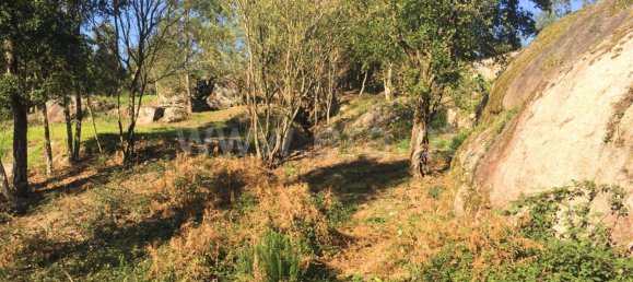 Terreno en Barcelos, Portugal 3500 m² No. 190495 5