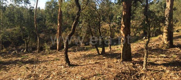 Terreno en Barcelos, Portugal 3500 m² No. 190495 9