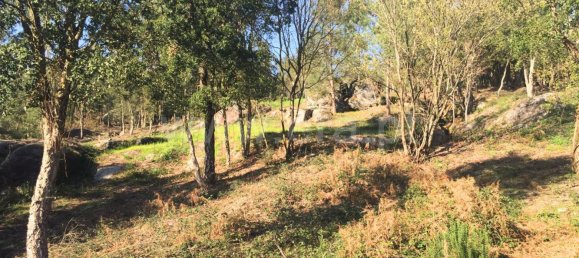 Terreno en Barcelos, Portugal 3500 m² No. 190495 2