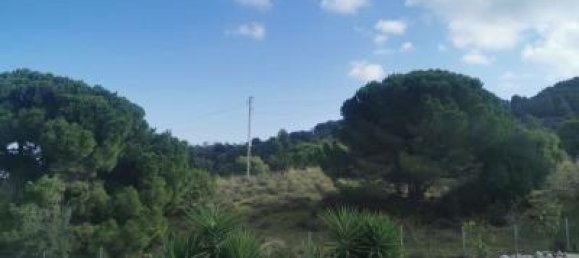 6 bedrooms Villa in Alhaurin de la Torre, Spain No. 61020 23