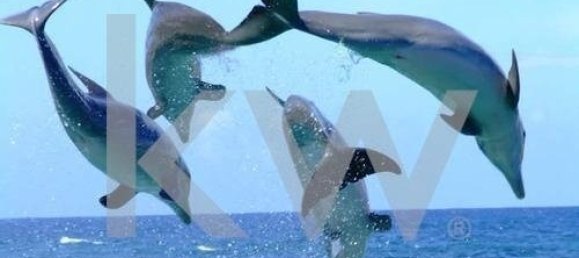 8 bedrooms Villa in Grandola, Portugal No. 120939 41