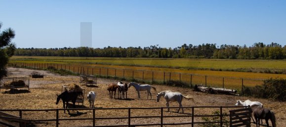8 bedrooms Villa in Grandola, Portugal No. 120939 47