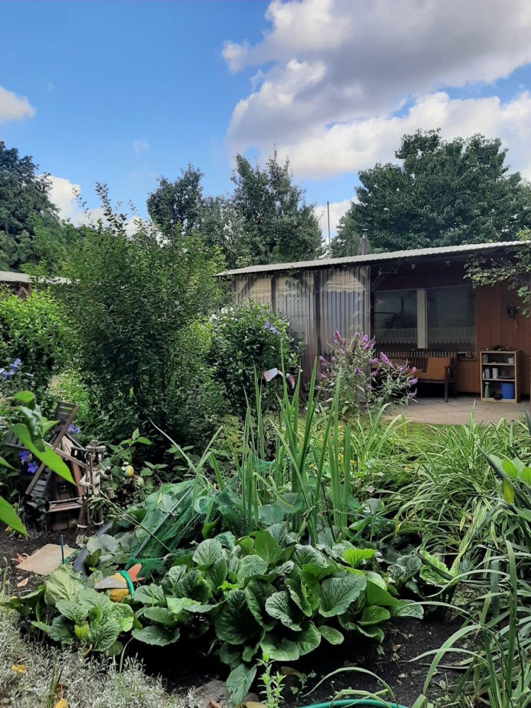  Land in Barnim, Germany No. 262391