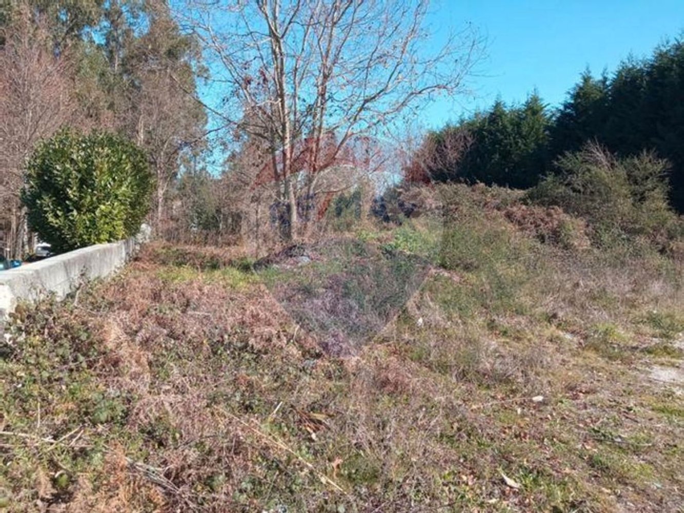 Terrain à Lousada, Portugal 3000m² No. 60402