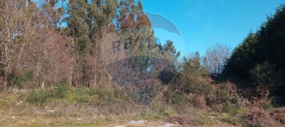 Terrain à Lousada, Portugal 3000m² No. 60402 2