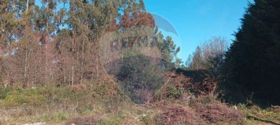 Terrain à Lousada, Portugal 3000m² No. 60402 4