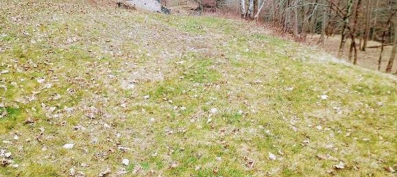 3 rooms House in Premia, Italy No. 167713 17