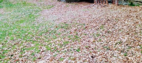 3 rooms House in Premia, Italy No. 167713 9