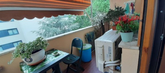 Apartamento de 4 habitaciónes en Pisa, Italy No. 135589 15