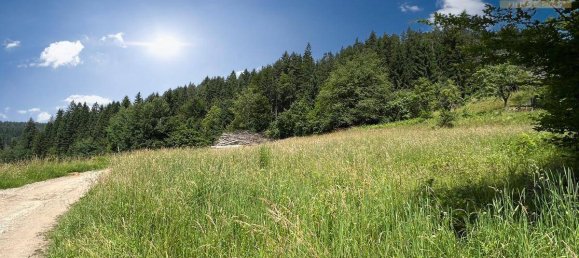 1350m² Land in Velden am Worther See, Austria No. 44215 3