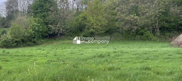  Land in Persenbeug-Gottsdorf, Austria No. 151899 5