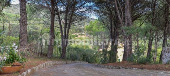 Villa T5 em Campo nell'Elba, Italy N.º 348983 9