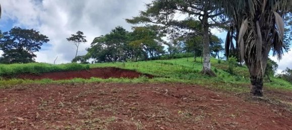 Terreno en Nicoya, Costa Rica No. 1454 4
